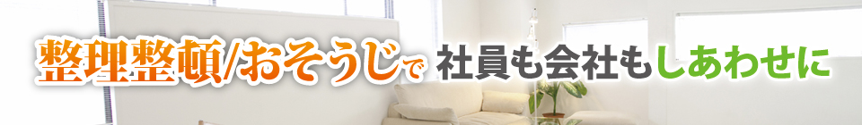 整理収納コンサルティング 整理収納コンサルティング